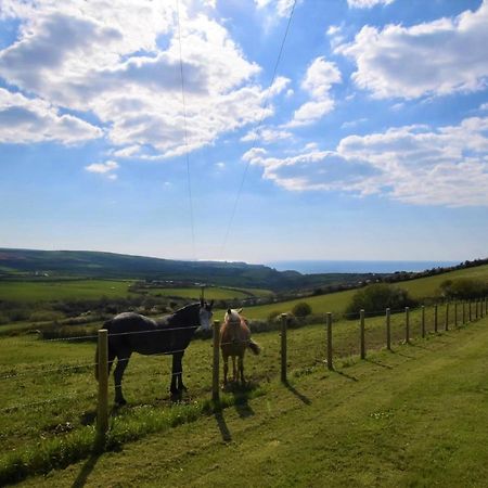 1 Bed In Boscastle Lpenc Βίλα Εξωτερικό φωτογραφία